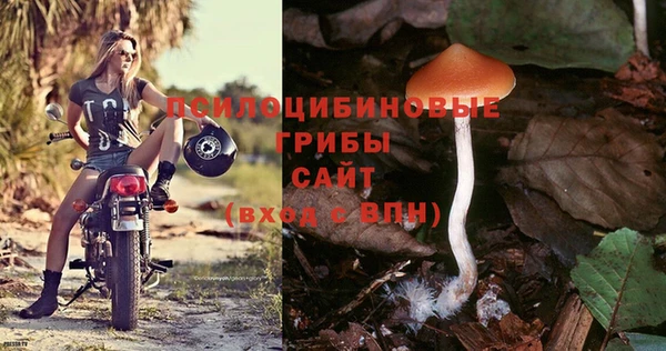 спиды Волоколамск
