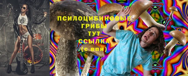 спиды Волоколамск