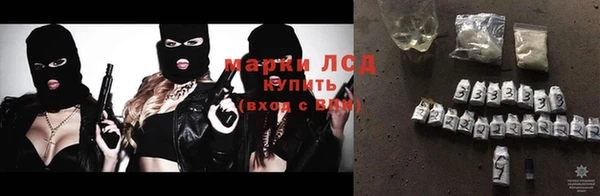 стаф Володарск