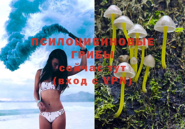 стаф Володарск