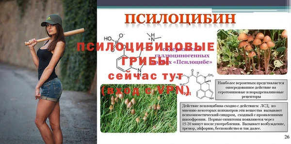 гидра Волосово