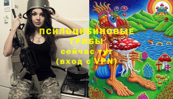 стаф Володарск